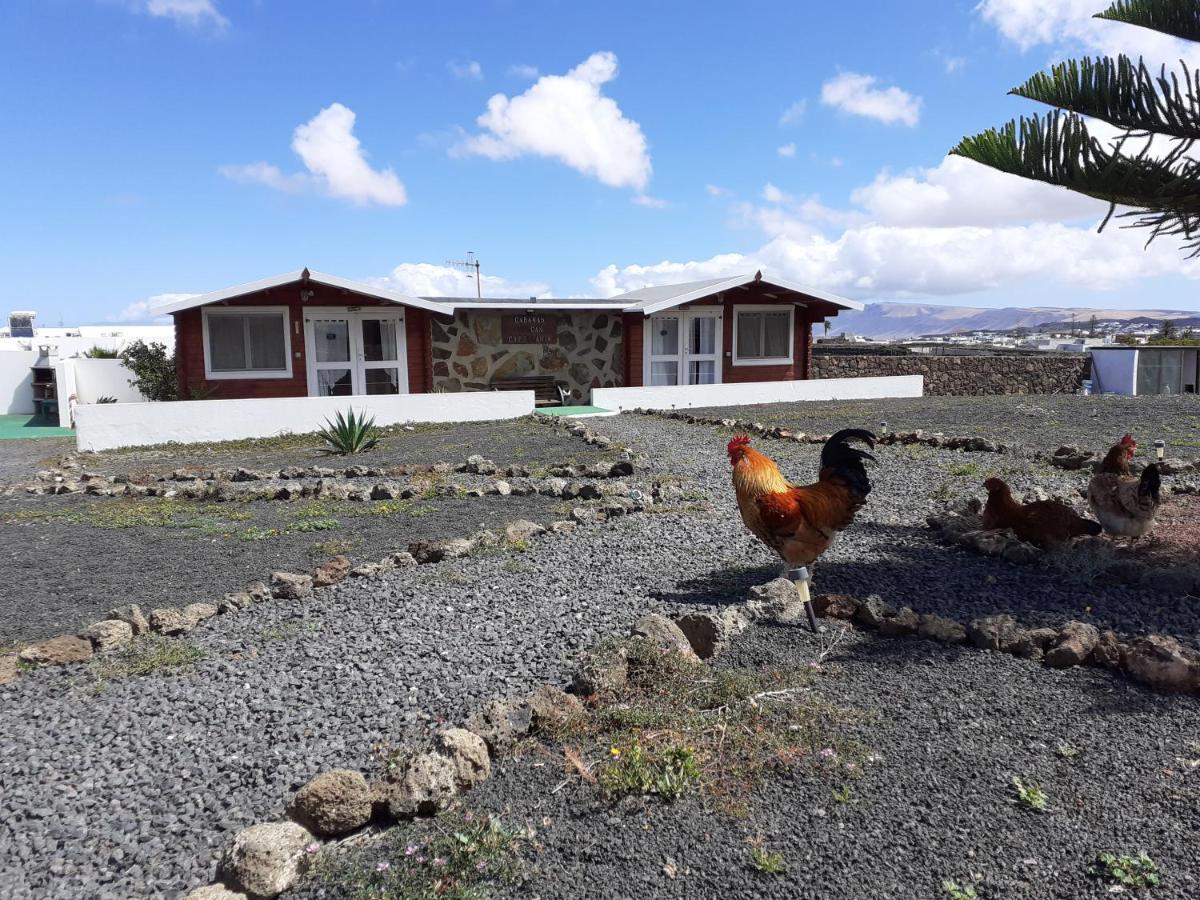 Cabañas Volcán Capellania Tinguaton Exterior foto